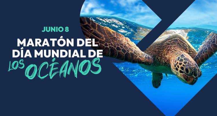 Love Nature presenta el maratón por el Día Mundial del Océano