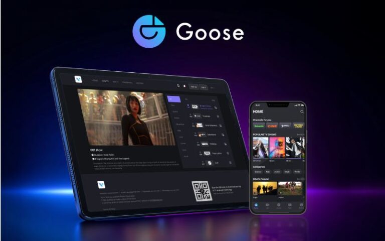 Goose by BitKernel: una respuesta concreta a los nuevosdesafíos de los cableoperadores